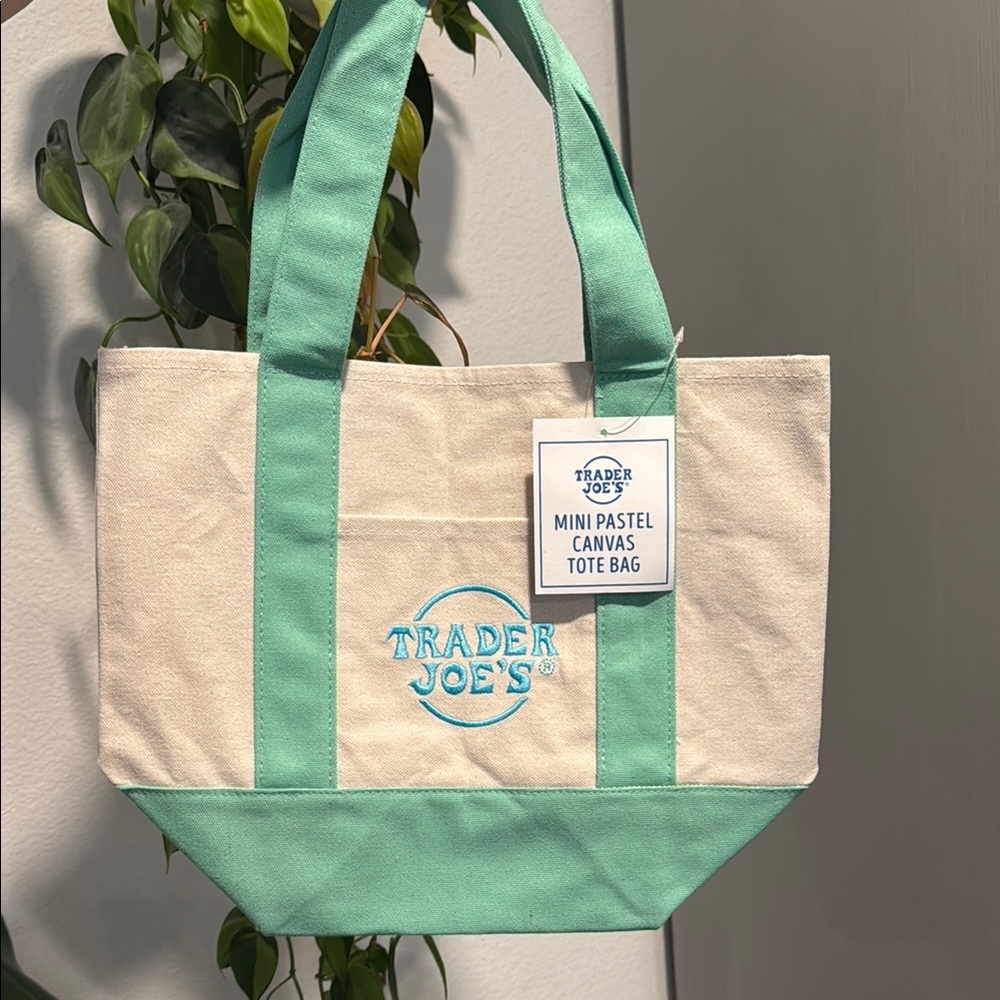 Trader Joe’s Mini Tote - Teal